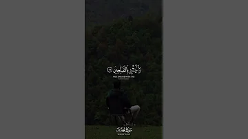 توفني مسلما والحقني بالصالحين سورة يوسف القارئ محمد هشام قرآن كريم 