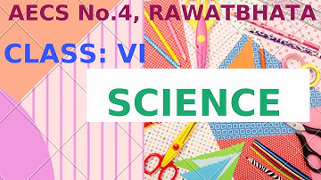 Class VI-Science -Lesson -8, Body Movements- Gait of Animals