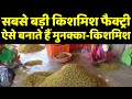 1,50,00रु.का डेली माल | Raisins Production Process | Raisin Factory