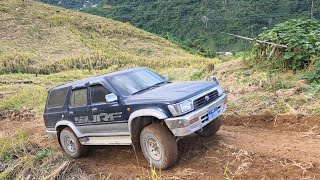 Thauj Lawv Cov Zaub Mov Mus Rau Lawv Noj Ua Teb 112 2025