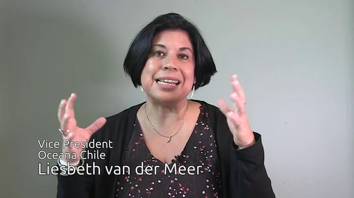 Returning abundance to the world's oceans