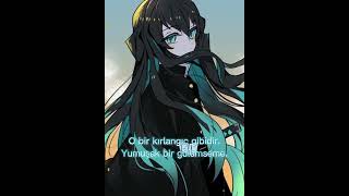 Diğer Hashiraların Shinobu Hakkında Düşünceleri