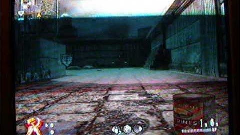 COD5 Unlimited Ammo Glitch