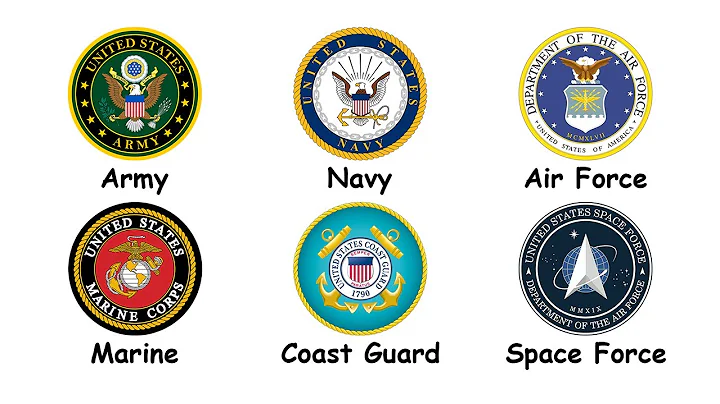 Every US Military Branch in 5 Minutes