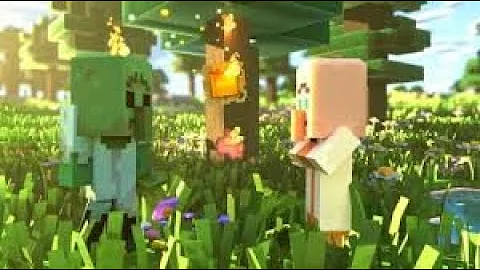 BRU FIRST VIDEO CAUTION