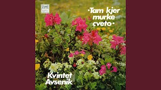 Video thumbnail of "Kvintet "Avsenik" - Tam Kjer Murke Cveto"