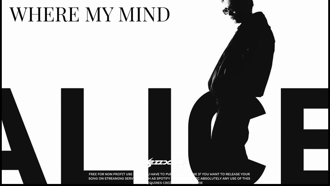 [FREE] PUSSYKILLER x ALICE x NEWLIGHTCHILD TYPE BEAT - "Where My Mind"