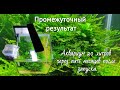 Креветочник 20 литров. Промежуточный результат.