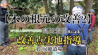 【木の根元の改善２】「高田宏臣氏による房総坐禅道場境内実地調査」より