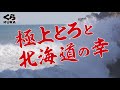 くら寿司CM 旬の極み とろと北海道フェア
