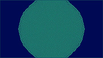 Reaction Diffusion Simulation | k0.0576 / f0.0304