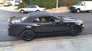 BBK shorty headers, Catted X, & Roush  A/B