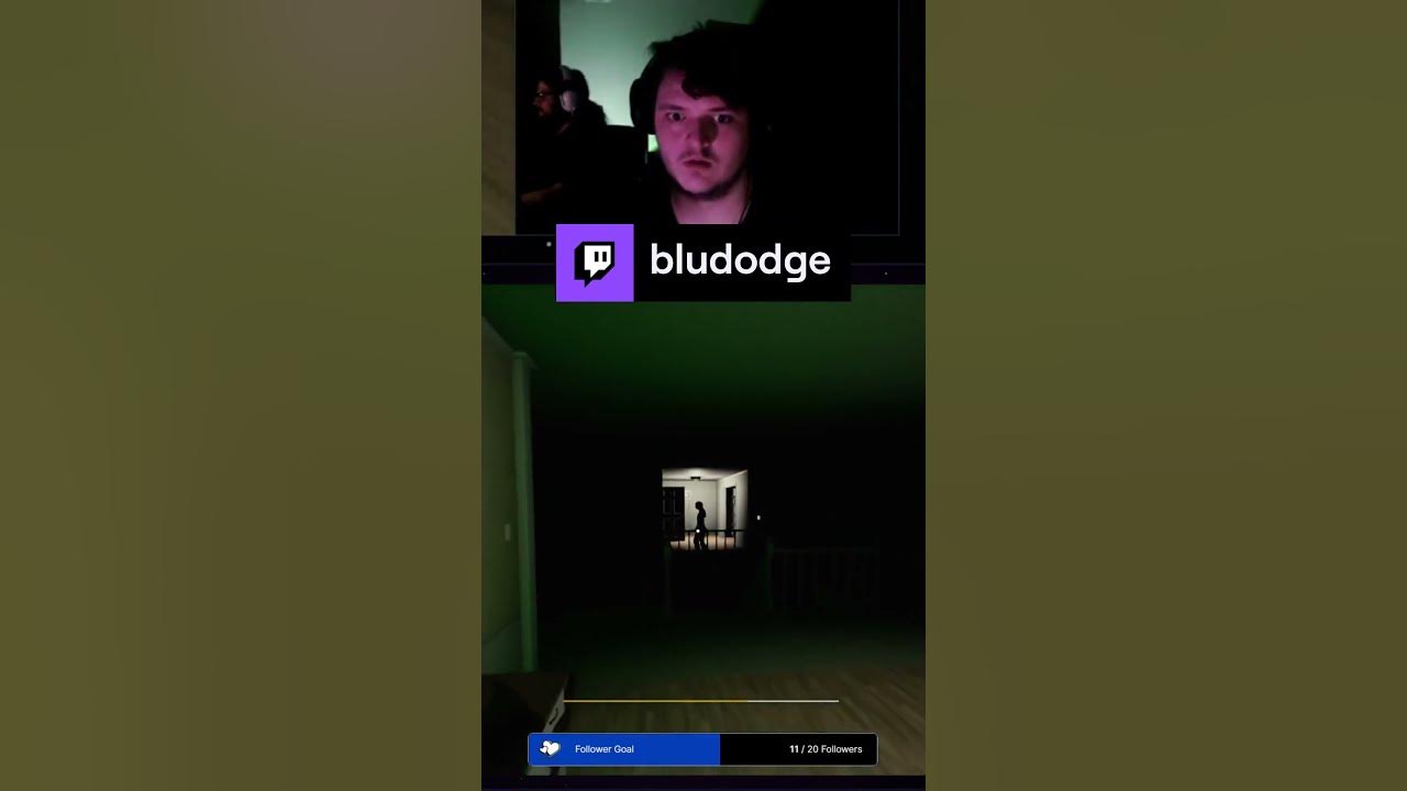 David pretends to be a mimic bludodge on twitch youtube