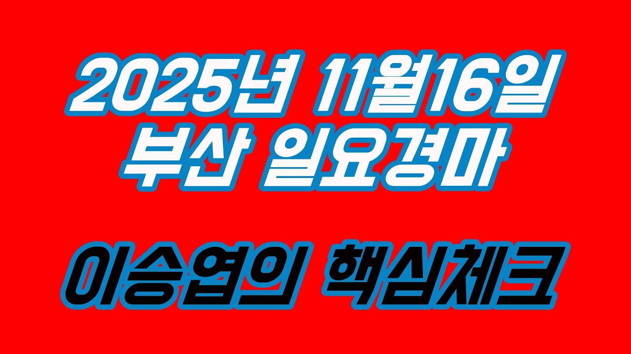 2025년11월16일 일요경마 (이승엽의 핵심체크)