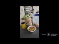 Baby yoda TikTok compilation - part 2