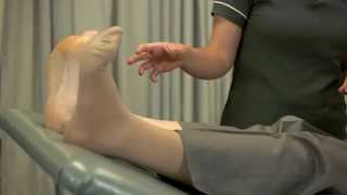 Lower Limb Chapter 6: Lymphatic Stimulation Exercise