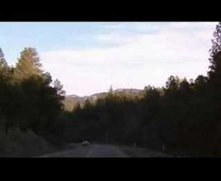 Gumball Rally - Camaro w/Gary Busey