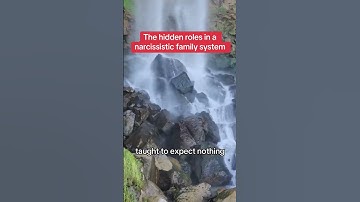 Hidden Roles in a Narcissistic Family System 👀💔 #healing #duet #codependency #emotionalabuse