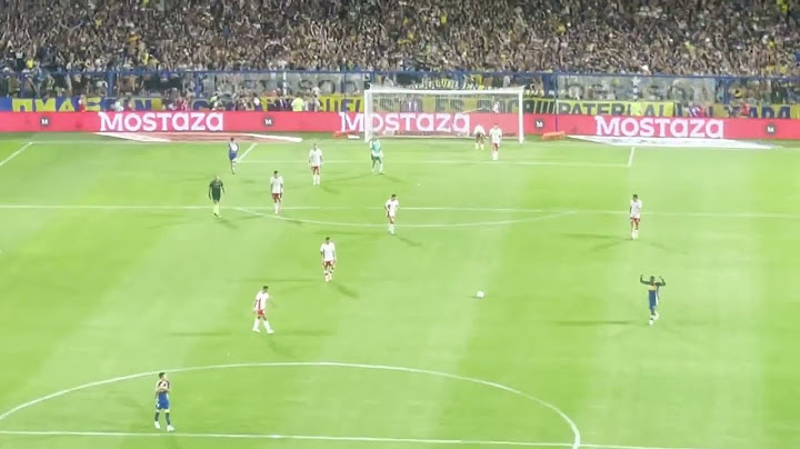 Golazo de Cavani y Palacios desde la tribuna BOCA JRS. vs HURACÁN (2-1)
