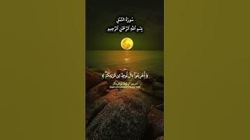 سوره النمل القارى محمد الفقيه