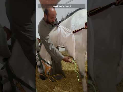  الرعاية ما بعد العملية ٦٠شو مع الدكتور حاتم ستين