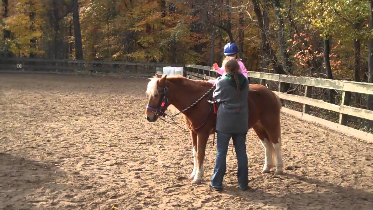 Horse Show 11/14/10 11 YouTube