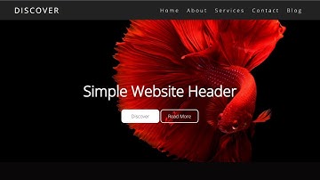 How To Make Website Header Design Using HTML & CSS | Website Tutorial
