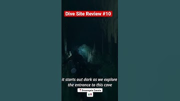 Dive Site Review #10: Dreamgate Cenote