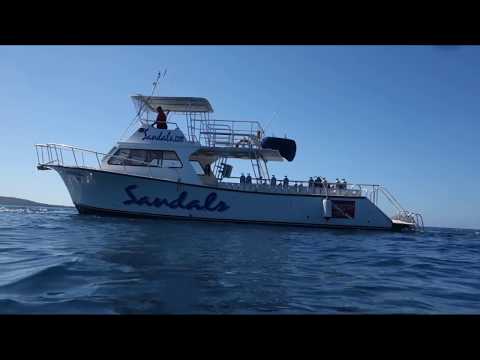 Scuba diving at