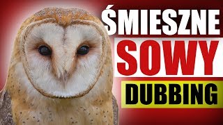 ŚMIESZNE SOWY 🦉 DUBBING: MATT OLECH