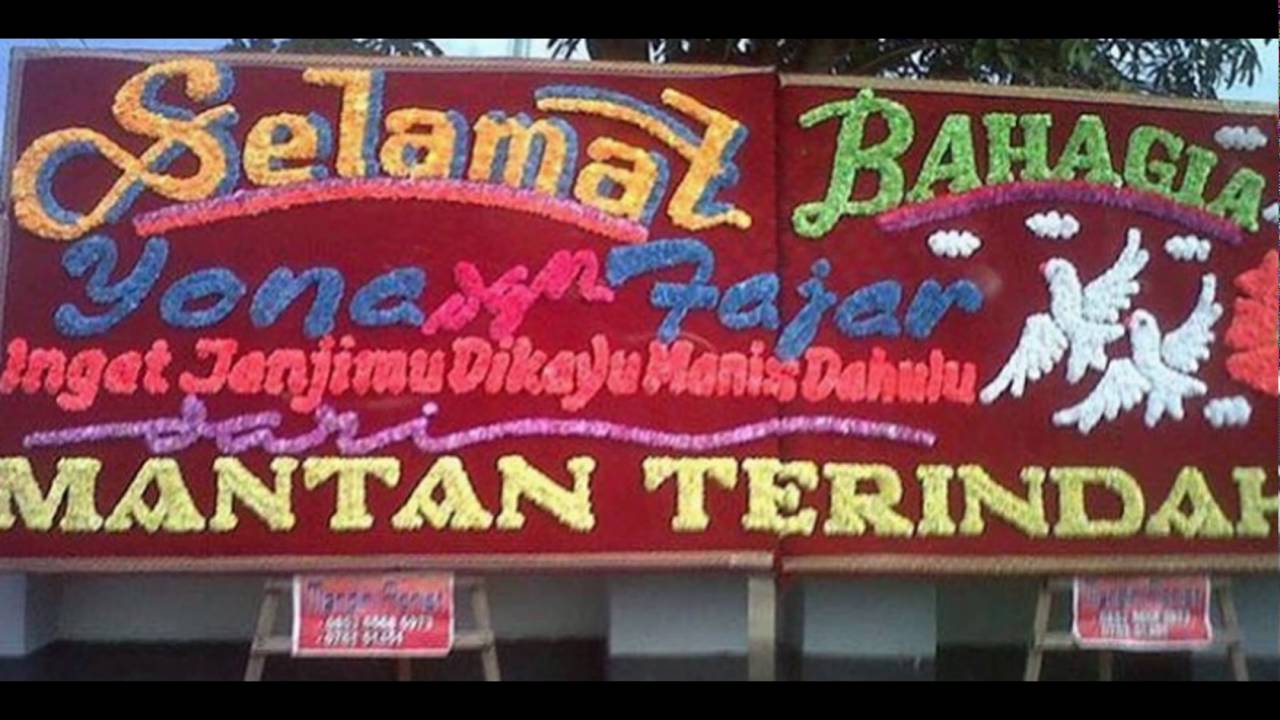  Bunga  papan lucu  yang dapat membuat anda tersenyum YouTube