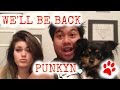 Episode 01: We&#39;ll Be Back Punkyn