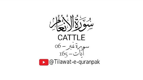 Surah Anaam | Surah Al-An'aam | Cattle - 06 |  Qari Bilal As Shaikh | سورة الأنعام| #surahalanam