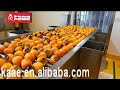 Dried Persimmon Production Line
