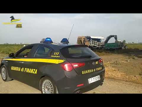 Caporalato, quattro arresti nel foggiano