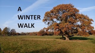 A Winter Walk in the River Colne Valley by smacksman1 487 views 7 years ago 6 minutes, 40 seconds