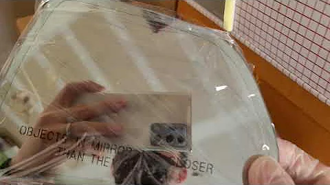 Tesla Wide Angle Anti Glare Blue Blind Spot Mirrors