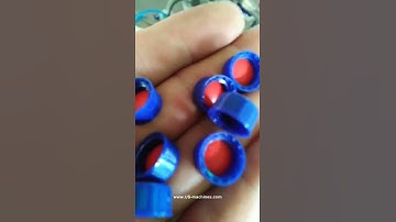 Small size cap wadding machine cap lining assembly machine running video