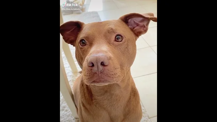 What's Mom Cooking?