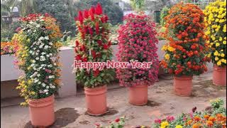 Download lagu How to Make Flower Tower | Vertical Gardening at home | EASY Method | Innovative gardening idea