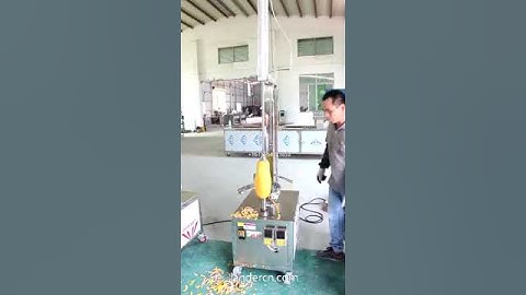 Automatic vegetable fruit pumpkin melons peeling machine XP701
