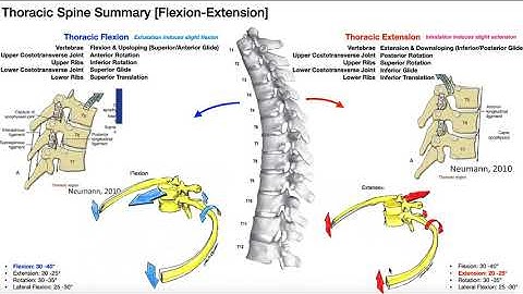 RE-UPLOAD: Rib Movement | Coupled with Lateral Flexion & Rotation