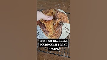 The BEST Beginner Sourdough Bread Recipe