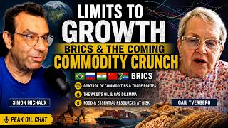 Limits to Growth, BRICS & the Coming Commodity Crunch | Gail Tverberg & Simon Michaux