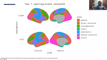 Colleen Hughes: Using network neuroscience to understand age differences in social cognition