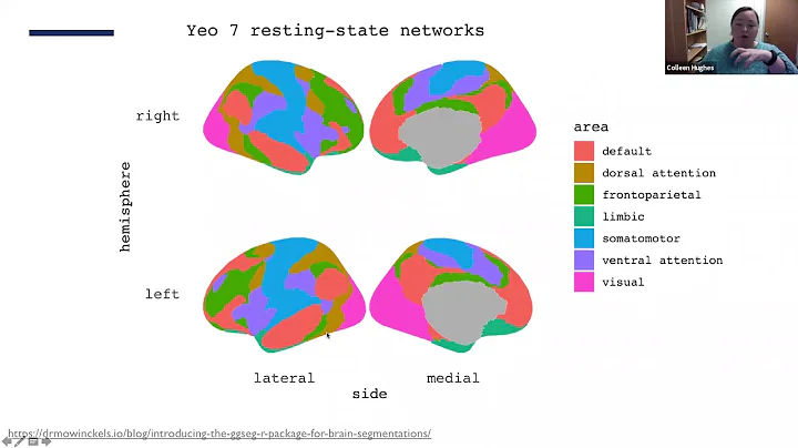 Colleen Hughes: Using network neuroscience to unde...
