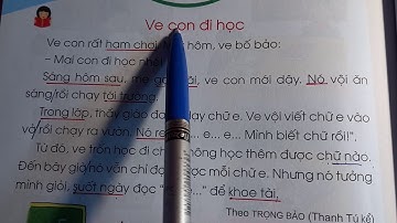 Tập đọc lớp 1  Bài Ve con đi học  Sách cánh diều