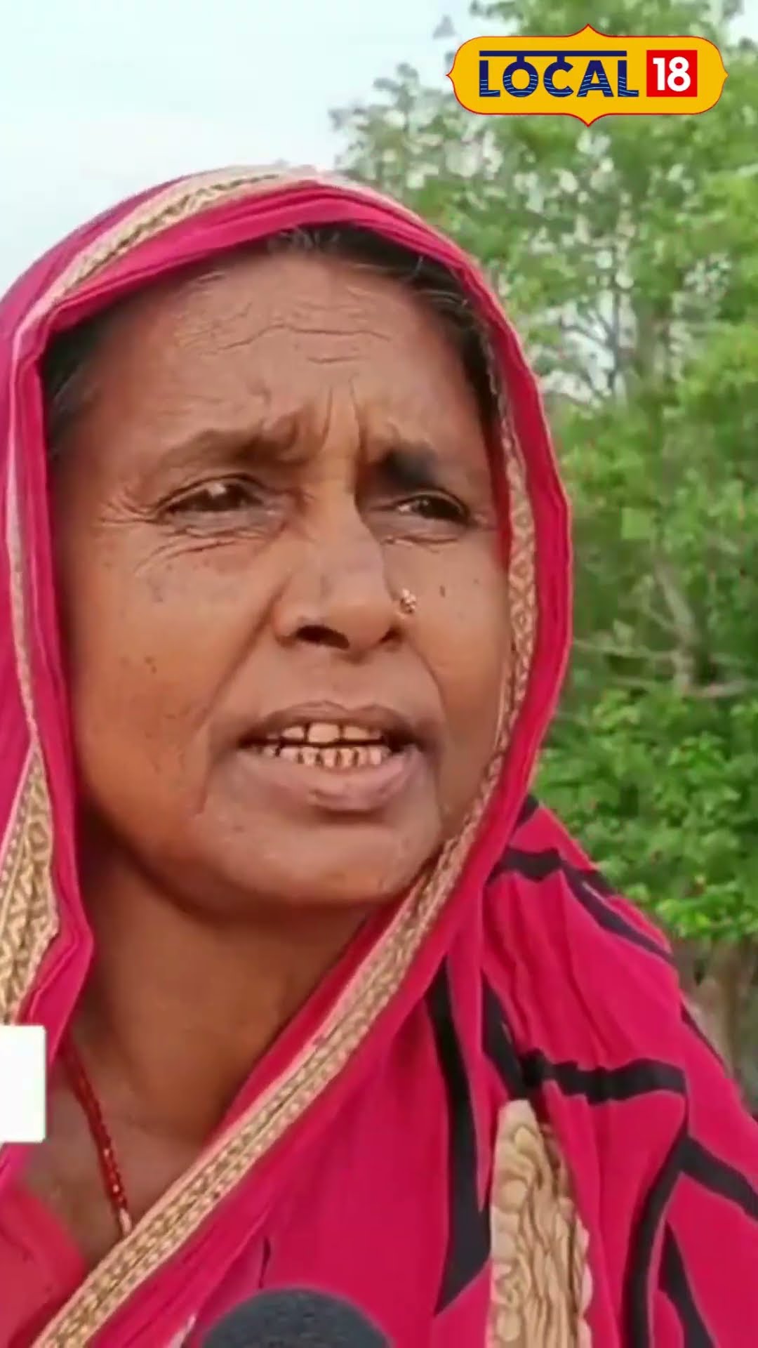 Bangla News: স্বামীকে বাঁচাতে বাঘের সঙ্গে লড়াই এই মহিলার! জানুন #local18shorts | Viral Video
