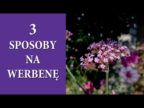 Wideo: 3 sposoby na zrobienie świetnej, głębokiej kuracji pielęgnacyjnej