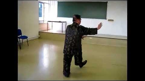 Mother Palm 1 of Baguazhang -- Single Changing Palm